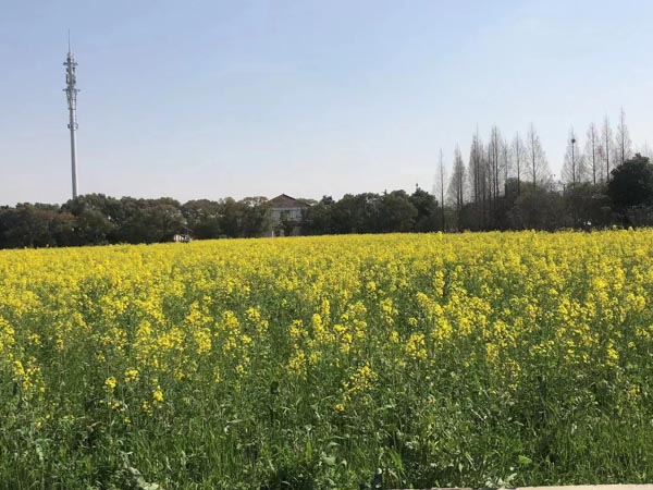 深圳拆遷律師來講講承租人配偶隨承租人同住于此是否屬于同住人